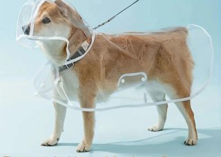 Impermeabile cane taglia 3XL