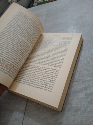 Le Profezie dei Maya - Libro