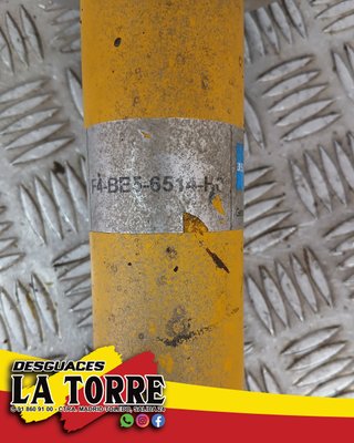 Amortiguadores delanteros Bilstein Eibach A4 B6.