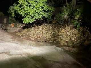 Habitacion para alquilar NECESITO SOLO POR UN MES