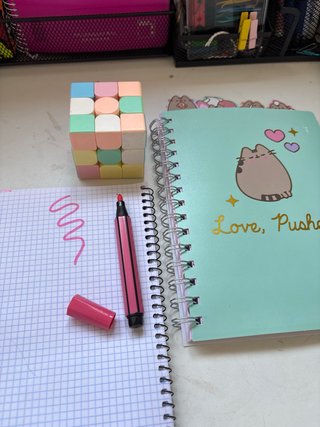 Libreta y bolígrafo Pusheen