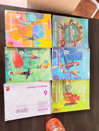 Lote de libros de texto 6 de primaria
