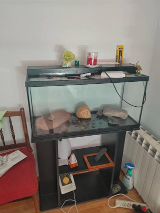 Acuario con mueble negro