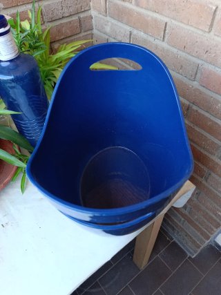 Cubitera Brugal Azul