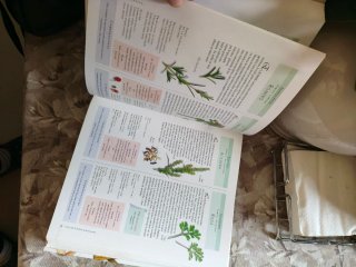 libro la botica en casa susaeta