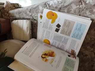 libro la botica en casa susaeta