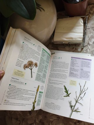 libro la botica en casa susaeta