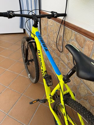 Bicicleta de montaña