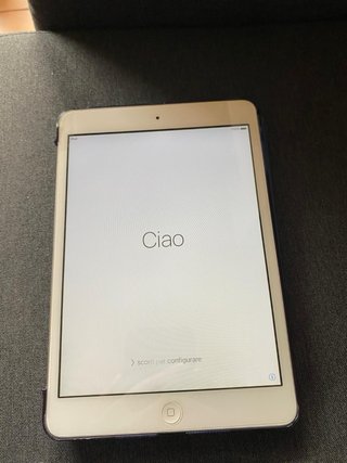 Apple iPad