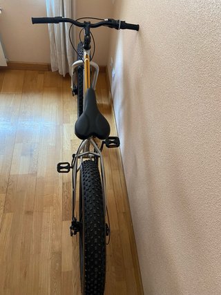 Bicicleta Fat Bike Plata