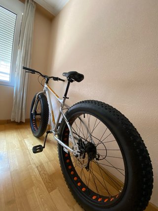 Bicicleta Fat Bike Plata