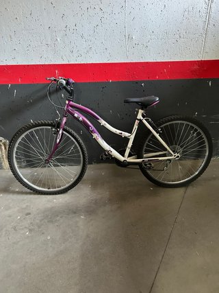 Bicicleta de adulto 26