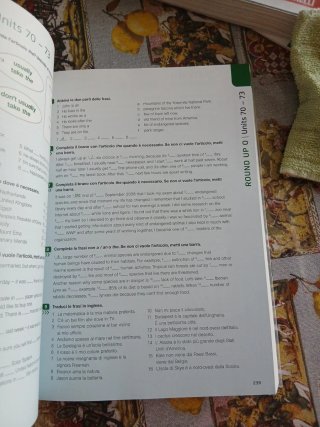INVERNIZZI A TO Z GRAMMAR SB.EZONE