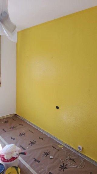 Soy pintor fontanero albañil eléctrico estoy dispo