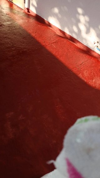 Soy pintor fontanero albañil eléctrico estoy dispo
