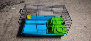 Jaula para conejo azul y verde