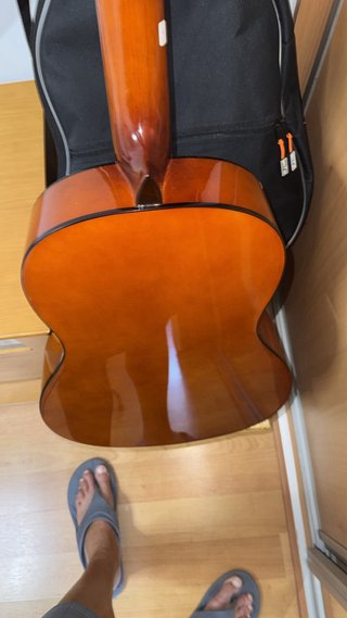 Guitarra OQAN QGC-20