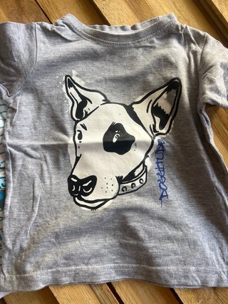 Lote 13 piezas Ropa Niño 18 a 24 meses