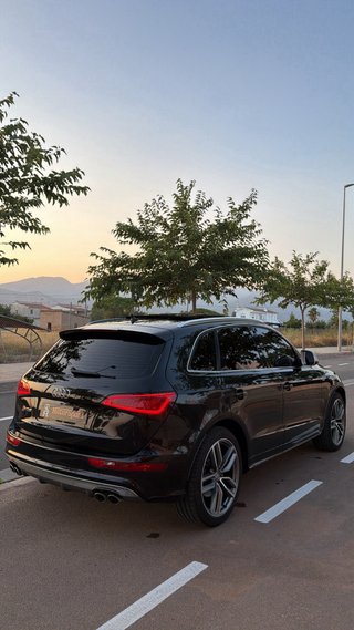 Audi SQ5 2014