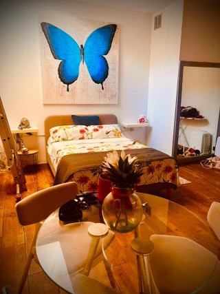 Bar+ vivienda