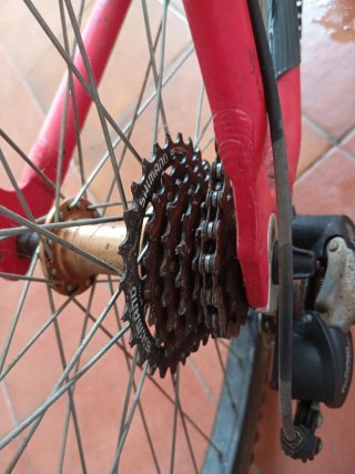 Bicicleta BH Radio 26