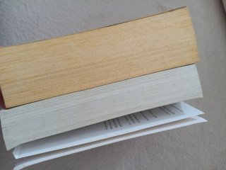 La sangre de los inocentes + La biblia de barro