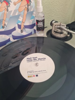 Melt feat. Little Ms. Marcie – Hard House Music 12