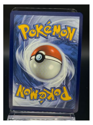 Pokemon Card: Sordward & Shielbert (TG28/TG30)