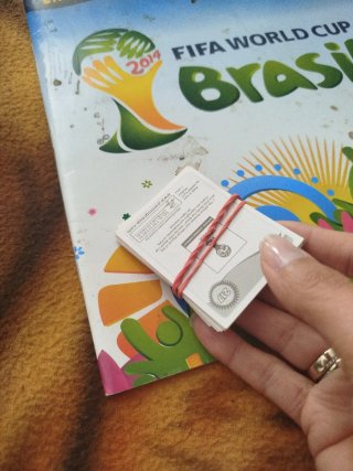 Álbum Panini Mundial Brasil 2014 + 30 Cromos