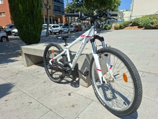 Bicicleta Rockrider 100 Niña