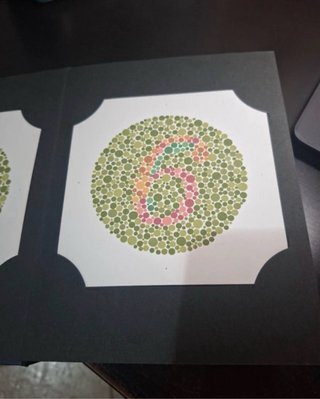 Libro Ishihara 38 Laminas