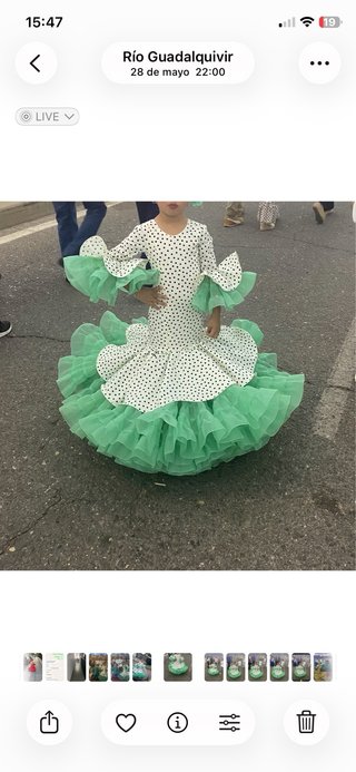 Vestido de flamenca verde y blanco