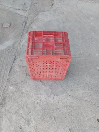 Cajas de plastico frutera.   100 cajas