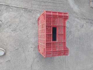 Cajas de plastico frutera.   100 cajas
