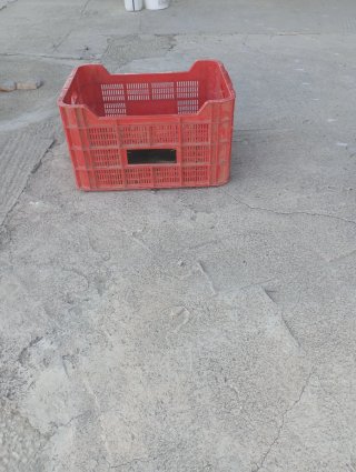 Cajas de plastico frutera.   100 cajas