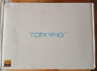 Amplificador Topping PA3s Negro