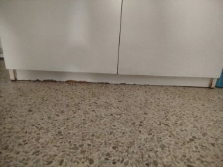 Armario Despensa Blanco