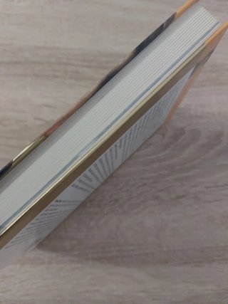 Don Bosco una biografia nuova