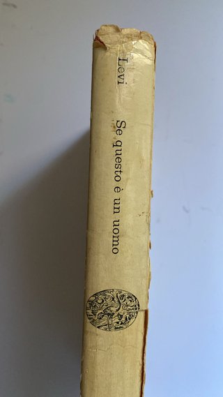 Se questo è un uomo