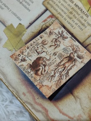 Libros de magia