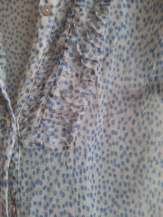 Blusa gasa transparente entallada.