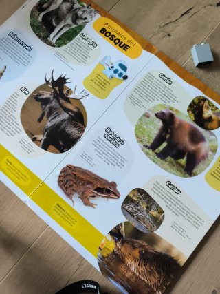 Animales asombrosos