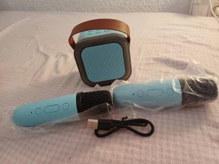Altavoz Karaoke Bluetooth con Micrófonos