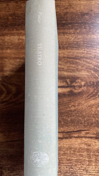 Teatro Pinter Einaudi 1972 libro