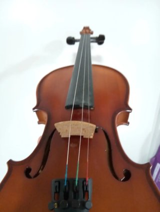 Violín 1/2 Carlo Giordano con funda