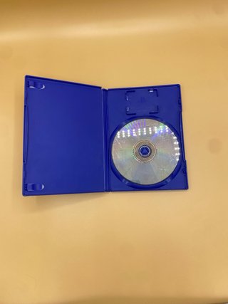 Dead to Rights PS2
