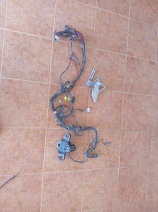 Despiece Yamaha TZR 50