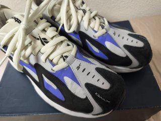 Zapatillas Deportivas Reebok DMX foam