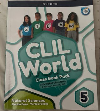 Lote libros de 5 de primaria