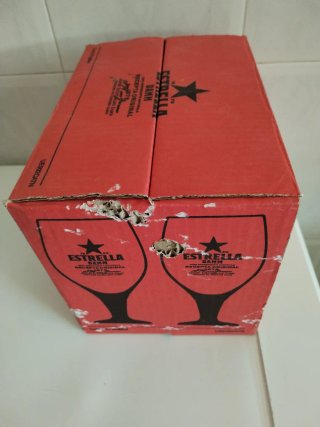 Juego 6 copas cerveza caña Estrella Damm 1876